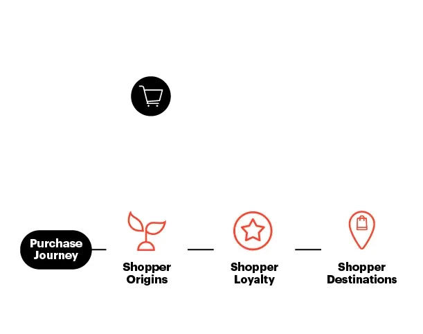 understand the full journey
